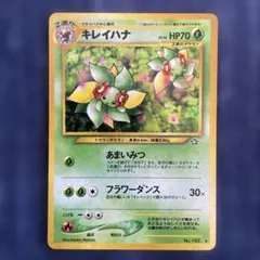 2026年最新】キレイハナ 旧の人気アイテム - メルカリ