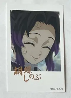 鬼滅の刃 胡蝶しのぶ 20巻 特装版 ポストカード 謹製絵葉書 特典 173枚 鬼滅の刃 胡蝶しのぶ 20巻 特装版 ポストカード 謹製絵葉書 特典 10枚