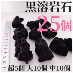 黒溶岩石 25個 【超5大10中10】☆アクアリウム、テラリウム、苔リウムに最適のサムネイル
