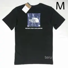 ノースフェイス 半袖 tシャツ レッドボックス LTG 黒 ブラック 白 海外М