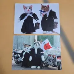 2026年最新】下敷き なめ猫の人気アイテム - メルカリ