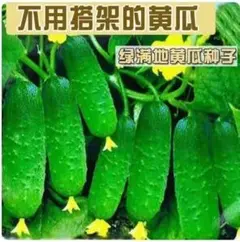 Yanming Li様 リクエスト 3点 まとめ商品