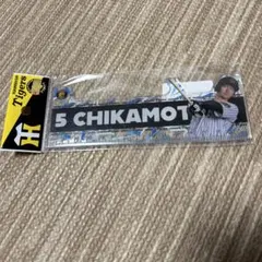 阪神　選手ダイカット定規