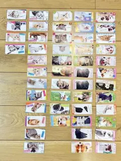 おしゃべりわんこのカード　50枚セット