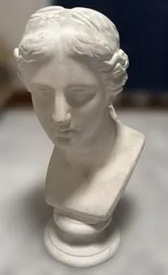 2026年最新】ミロ・ヴィーナスの人気アイテム - メルカリ