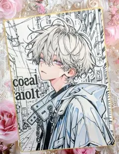 紙モノ詰め合わせ おすそ分けファイル コラージュ　男の子②