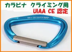 Item thumbnail for item d0cb71d2-4c5e-4cfa-ba49-633435253c3c