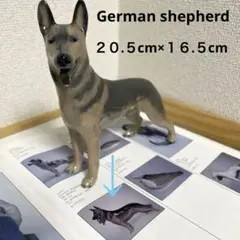 ・Germanshepherd・１９７４〜・１６×２０・ROYAL Copen・のサムネイル