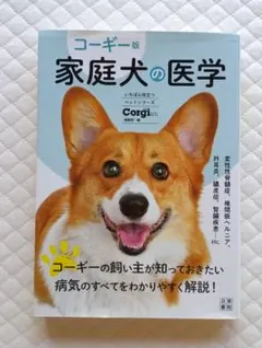 Item thumbnail for item 6698d53d-f76b-4d90-927a-149aac353ea3