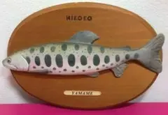 KIKOKO YAMAME 魚 置物 山女魚 山女 ヤマメ 渓流 本流 トラウト