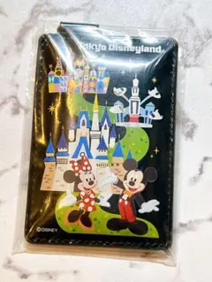 東京ディズニーランド パスケース&チャームセット