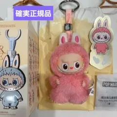 2025年最新】POPMART labubu シークレットの人気アイテム - メルカリ