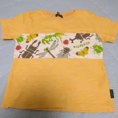 Klädskap クレードスコープ　昆虫プリント Tシャツ オレンジ100