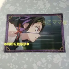 鬼滅の刃 胡蝶しのぶ ポストカードコレクション 無限城編 ポスカ