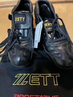 2025年最新】野球 スパイク ゼット プロステイタスの人気アイテム