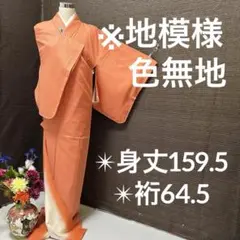 地模様 色無地 正絹 広衿 袷 YK-741