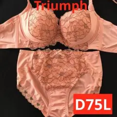 新品未使用 トリンプ Ｄ７５ 脇高リフトアップブラ＆ショーツ Ｌセット