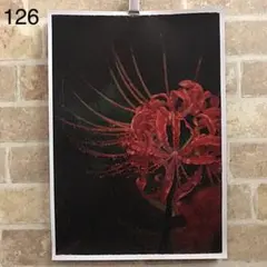 山本敏雄 彼岸花 曼殊沙華 秋 花の絵 絵画 静物画 水彩画 2025年最新】彼岸花 絵画の人気アイテム - メルカリ