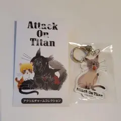 進撃の巨人 黒ねこ意匠 アクリルチャームコレクション ハンジ猫 進撃の巨人〉全8種コンプリートBOX アクリルチャーム