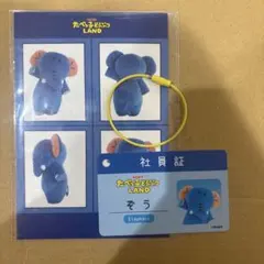 Item thumbnail for item ecd686cc-cb20-4ad8-b726-7a62be728df4