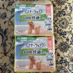 ユニチャーム マナーウェア 長時間快適オムツ 女の子用 SS 超小〜小型犬用のサムネイル