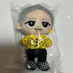 2026年最新】岩本照ぬいぐるみの人気アイテム - メルカリ