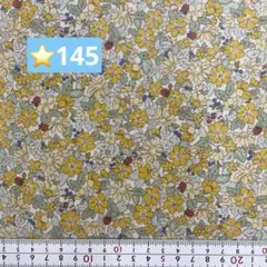 ⭐️145ラミネート生地1メートル