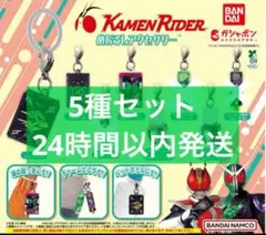 仮面ライダー　めじるしアクセサリー　5種セット