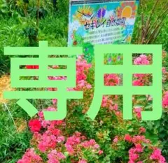 tyoko*様専用です。