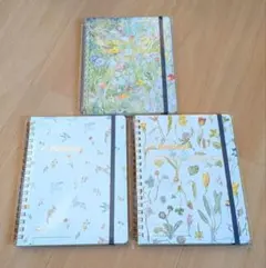 Item thumbnail for item 7a4e7981-c77c-430a-962f-af512b20e6bf