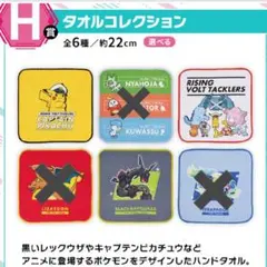 ポケモン一番くじＨ賞タオルコレクション３点セット！！