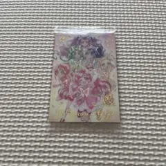 プリキュアウエハース YES! プリキュア5GoGo!
