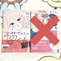 kokko様専用　お姉ちゃんの翠くん 8