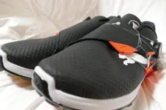 Item thumbnail for item 5017d4b7-560a-4a49-a9bd-0147f93377f5