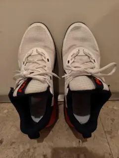 NIKE ナイキ スニーカー　靴