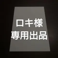 ロキ様 専用出品