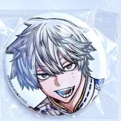 カリさん様 リクエスト 2点 まとめ商品