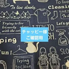 限定レア☆リサ パーカー キャット コイン 猫 カラー銀貨 1oz 純銀