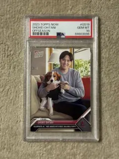 2026年最新】大谷翔平 デコピン psa10の人気アイテム - メルカリ