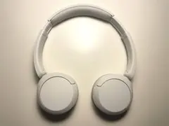 SONY ワイヤレスヘッドホン WH-CH520 Bluetooth