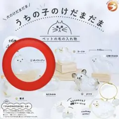 ポメチワ様 リクエスト 2点 まとめ商品