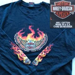 421 ハーレーダビッドソン harley davidson 2004年製