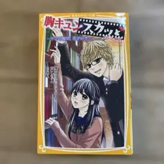 胸キュンスカッと ノベライズ ～今この瞬間、君が好き～