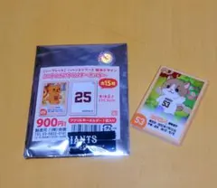 Item thumbnail for item c8410993-1299-4bd2-96c6-f8b8477deb13