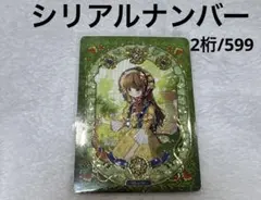 中国 ある姫 ある日、お姫様になってしまった件について カード ジェニット