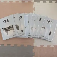 ベビーパーク ピクチャーブックレット 4枚✖️11袋