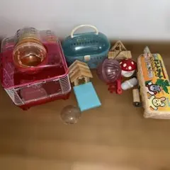 Item thumbnail for item ad305435-1fc9-483b-b644-498aee31e322