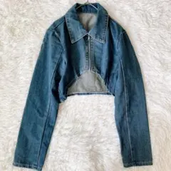 デイジーデザイナー デニムジャケット クロップドジップブルゾン（L）Y2K風