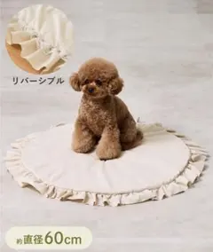 Item thumbnail for item 942eacfe-75f7-4f5a-b3d0-4d89112ab6bd