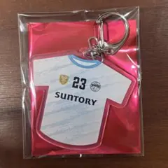 Item thumbnail for item 9f2ee968-2198-4401-9ba2-e3c36bd618e9